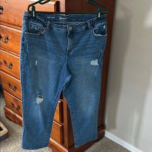 Curvy Distressed Blue Jeans